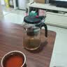 飘逸壶泡茶壶耐热高温玻璃沏茶过滤内胆冲茶器家用茶具套装 飘逸杯500mL1个 实拍图