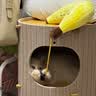 ZEZE香蕉宠物抱枕猫玩具自嗨解闷逗猫棒狗狗玩具耐咬拉扯宠物用品 实拍图