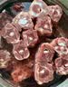 天顺源新西兰原切满肉羔羊脖骨羊蝎子 2斤  生鲜羊肉 炖煮食材 实拍图