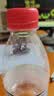 依能天然苏打水 无糖无汽无添加500ml*24瓶塑膜装 弱碱饮用天然水解渴 实拍图