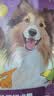 皇家狗粮幼犬奶糕幼犬狗粮宠物小型犬MIS30全价犬粮 ≤2月1KG 实拍图