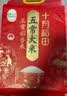 十月稻田 五常大米 5斤（五常稻香米 东北大米 2.5kg/公斤） 实拍图