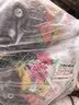 绿盼土壤营养土通用型有机种植菜养花15L多肉育苗家庭园艺植物盆栽 实拍图