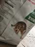 皇家猫粮 成猫猫粮 户外成猫 O30 通用粮 12月以上 4KG 实拍图