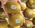 佳沛（zespri）新西兰金奇异果10粒巨大果146-175g猕猴桃中秋节礼品送水果礼盒 实拍图
