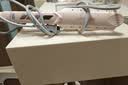 奥克斯（AUX）直板夹直发夹板不伤发负离子熨板大号加宽直发器理发店专用烫发夹头发拉直电夹板卷发棒米白色 实拍图