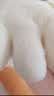 熊猫熊大白鹅睡觉抱枕长条玩偶娃娃毛绒玩具超大号女孩女友生日礼物女生 实拍图