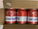 百威mini红罐淡色拉格255ml*24罐整箱装京东自营中秋礼品 实拍图