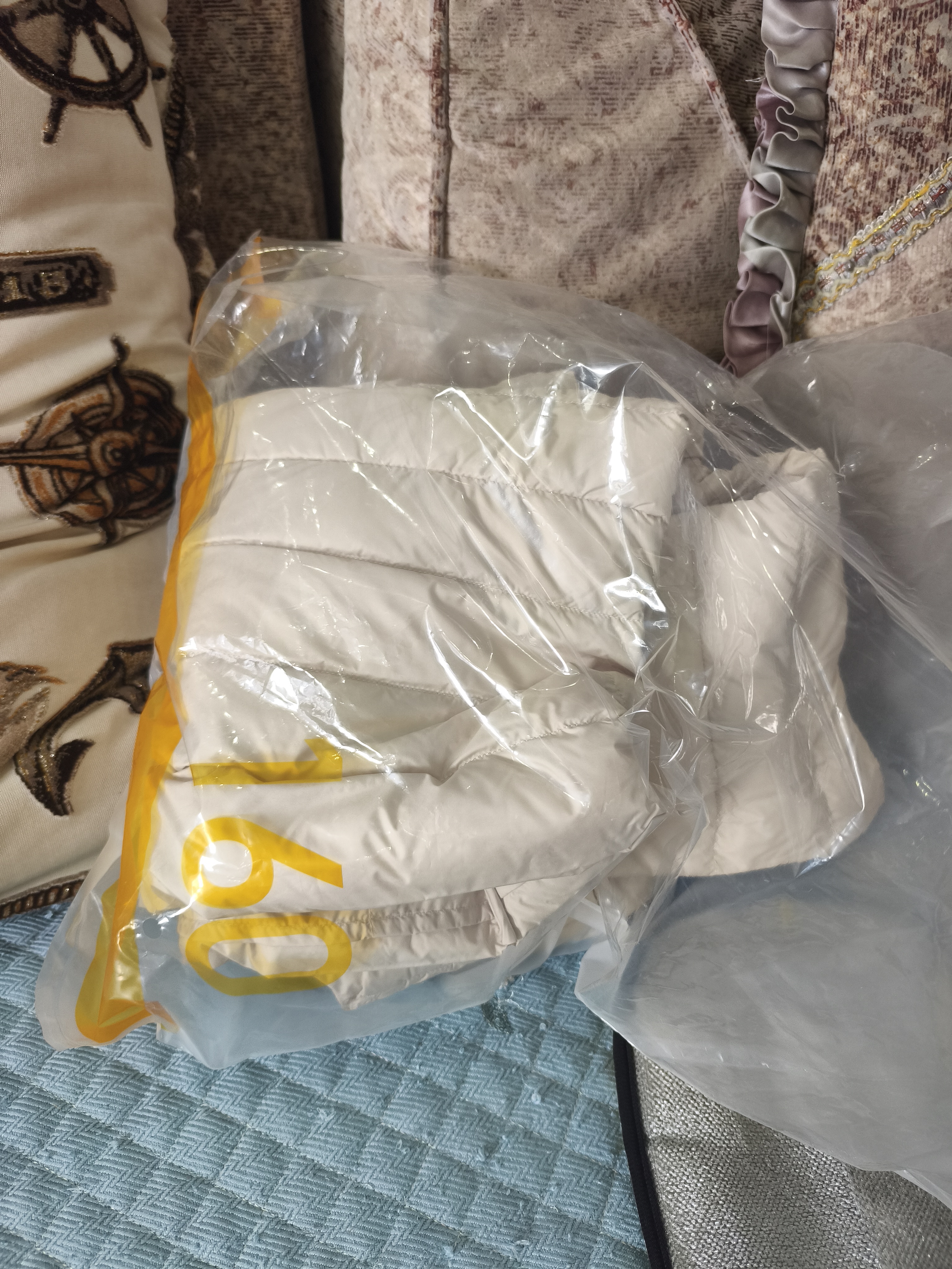 波司登26秋简约排骨条羽绒服女居家外穿便携可变内胆B260135004B 实拍图