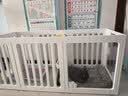 贝初众狗围栏室内宠物围栏狗笼子狗栅栏狗笼小中大型犬猫围栏狗笼折叠 半景透明-100*50*60cm【4片+2透明】 加重带吸盘 防推倒 简约大气 实拍图