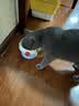 LEGENDSANDY蓝氏猎鸟乳鸽生骨肉冻干猫粮 全价成猫幼猫猫粮1.5kg 实拍图