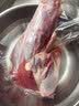 鲜京采精选 澳洲Teys原切金钱腱净重2斤 酱卤红烧 实拍图