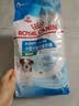 皇家狗粮 幼犬狗粮 宠物 小型犬 MIJ31 全价犬粮 2-10月 2KG 实拍图