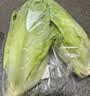 罗马生菜约500g 实拍图