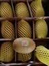 佳沛（zespri）新西兰金奇异果12粒特大果124-146g猕猴桃水果礼盒 实拍图