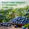 云南高山巨无霸蓝莓125g 22mm 实拍图
