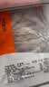 纯色本味冷冻冰岛全籽多春鱼 净重2斤 满籽 烧烤 生鲜食材鱼干纯鱼肉 实拍图
