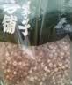 方家铺子中华老字号 六星鸡头米 芡实 炖汤煲粥配料红皮芡实500g 始于1906 实拍图