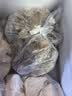 六和去皮鸭胸肉净重8斤樱桃谷鸭 生鲜烧烤 猫狗食材猫粮狗粮 实拍图