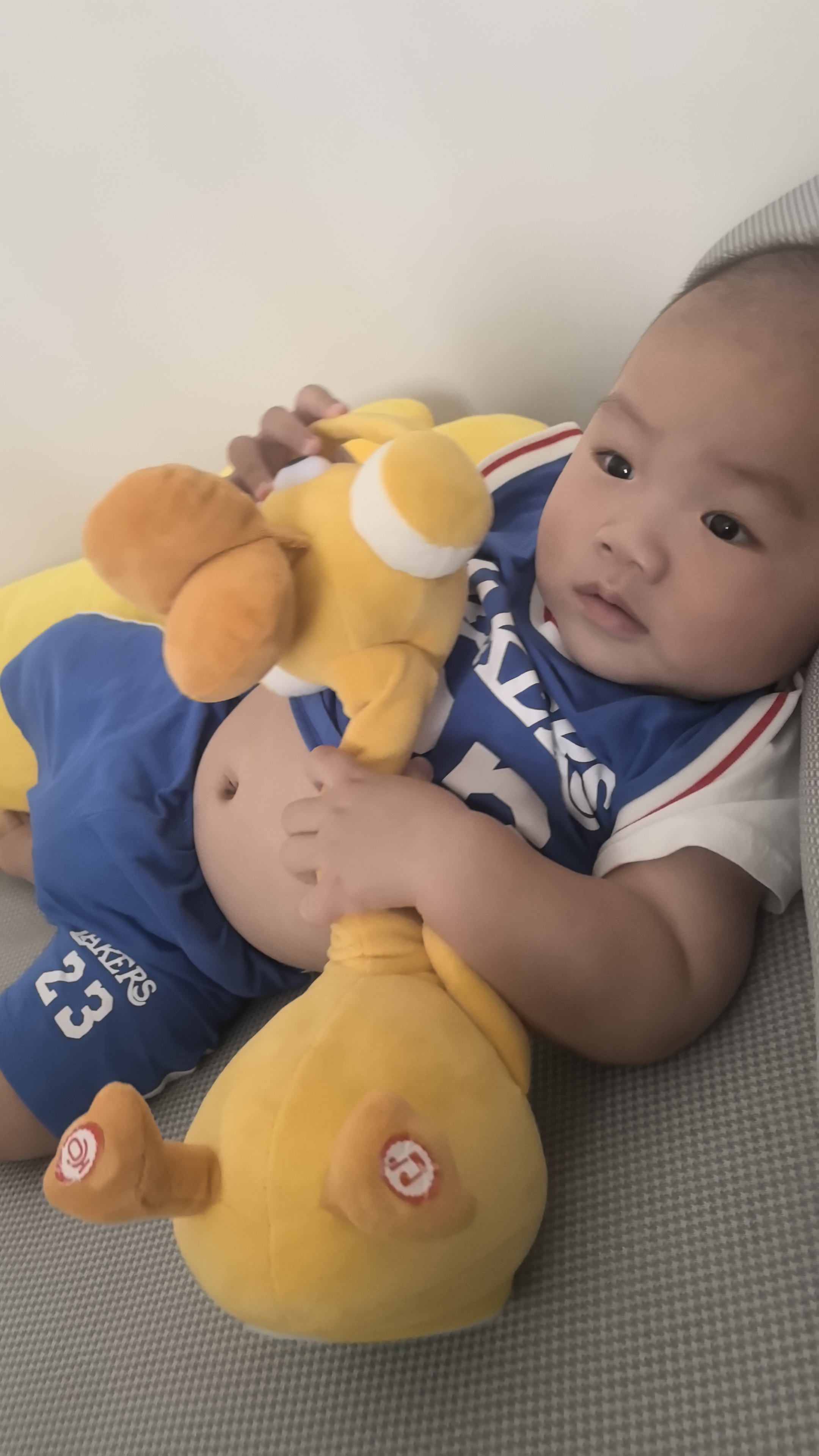 飞鹤星飞帆卓睿2段幼儿配方奶粉6-12月750g*6乳铁蛋白7种HMO28天新鲜 实拍图