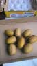 佳沛（zespri）新西兰金奇异果22粒巨大原箱146-175g猕猴桃水果礼盒 实拍图