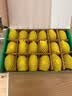 佳沛（zespri）新西兰金奇异果18粒优选果103-124g猕猴桃水果礼盒 实拍图