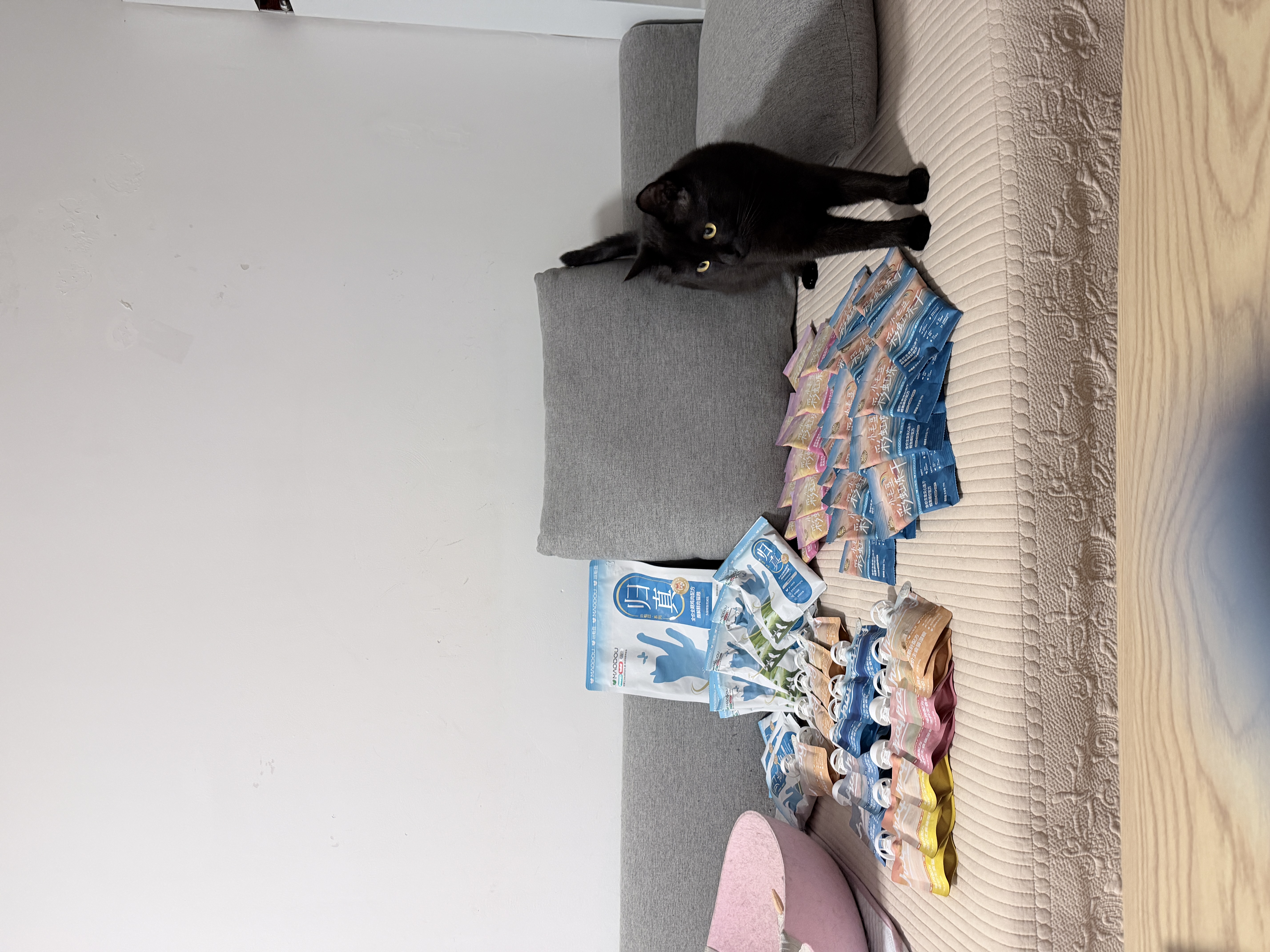 小毛豆猫粮 归真猫粮 全阶段成猫幼猫酶解鲜鸡肉幼猫猫粮福贝猫粮 【店铺爆款】归真猫粮3斤+送1斤试吃 实拍图