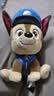 汪汪队立大功（PAW PATROL）毛绒玩具狗狗陪睡玩偶经典款阿奇小号坐姿男女孩儿童生日礼物 实拍图
