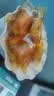 达利园法式软面包香奶味3斤整箱装零食糕点心早餐代餐 新老包装随机发货 实拍图