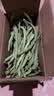农家四季豆新鲜现摘云南长扁豆角农家应当季蔬菜芸豆现摘菜豆 新鲜四季豆2斤带箱 实拍图