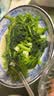 蒿子杆300g(茼蒿） 实拍图
