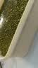 九千谷育苗盆芽苗菜盘种植发芽盆发豆芽神器黄绿豆芽无土栽培水培盘3901 实拍图