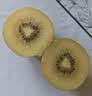 佳沛（zespri）新西兰金奇异果15粒巨大果146-175g猕猴桃水果礼盒 实拍图