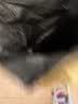 皇家英短成猫粮 BS34 通用粮 12月以上 4.5KG 实拍图