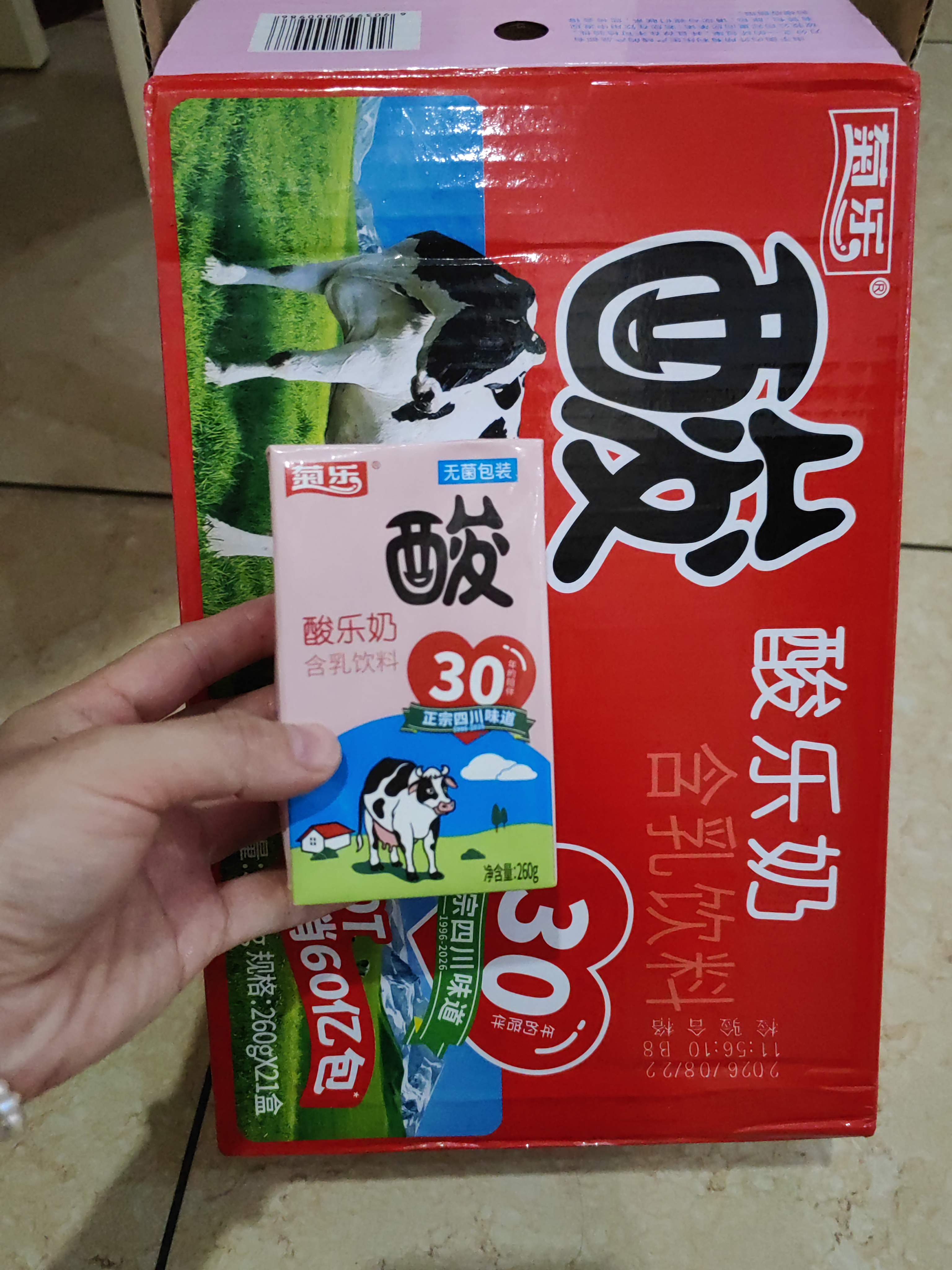 菊乐（JULE）酸乐奶四川老字号牛奶260g*21盒儿童营养早餐奶 送礼盒装 实拍图