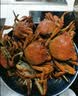 【活蟹】（网兜蟹）鲜京采原生带泥15只总净重2斤盘锦稻田蟹全母1.4-1.6两源头直发 实拍图