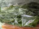 【24小时菜】菠菜苗250g(长度≤20cm) 实拍图