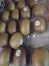 佳沛（zespri）新西兰金奇异果22粒巨大原箱146-175g猕猴桃中秋节礼品送水果礼盒 实拍图