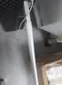 Tenda腾达 usb无线网卡wifi6 智能免驱无限 无线网卡台式机专用 wifi接收器 高增益天线 无线wifi发射 实拍图
