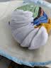 络晰20双男士袜子男秋冬短袜字母船袜ins潮吸汗透气学生青年百搭男袜 混色10双装 均码 实拍图