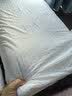 睡眠博士（AiSleep）乳胶枕 94%天然乳胶 泰国进口成人护颈椎枕头 深睡助眠专用波浪枕 实拍图