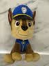 汪汪队立大功（PAW PATROL）毛绒玩具陪睡玩偶经典款阿奇中号坐姿公仔男女孩儿童生日礼物 实拍图