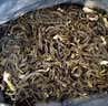 一杯香茶叶茉莉花茶横县特级500g2026新茶礼盒装自己喝送礼茉莉绿茶冷泡 实拍图