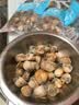 鲜项大号冷冻带黄扇贝肉净重2斤约80-120粒火锅食材海鲜生鲜中秋送礼 实拍图