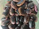万谷食美 大黑花芸豆1斤 豆 豆类 云南黑芸豆肾形豆 杂粮粗粮 实拍图