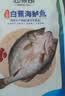 仙泉湖冷冻三去白蕉海鲈鱼700g/袋(2条装)肉厚刺少水产生鲜食材 实拍图