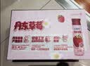 伊利安慕希丹东草莓风味酸奶230g*10瓶  礼盒装 实拍图