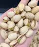 三只松鼠开心果250g/袋 无漂白每日坚果炒货休闲零食地方特产团购 实拍图