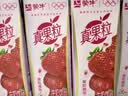 蒙牛真果粒牛奶饮品东魁杨梅味含乳饮料250g×12盒 卡皮巴拉礼盒 实拍图