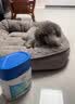 麦德氏IN犬猫高钙0乳糖绵羊奶粉10g/袋8倍乳铁蛋白新生幼犬猫羊奶粉 实拍图